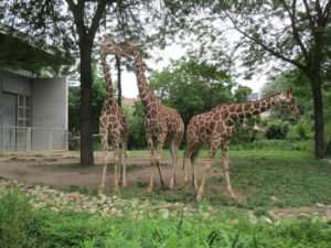 Zoobesuch der Grundschule Dobel