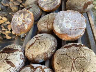 Zahlreiche selbst gebackene, runde Brotlaibe liegen auf einem hölzernen Gitter vor einem Stapel Brennholz. Die knusprigen, bemehlten Krusten sind mit unterschiedlichen Mustern verziert, darunter Initialen, Herzen, eine Sonne und ein lachendes Gesicht. Die Brote wurden von den Drittklässlern der Naturpark-Grundschule Dobel im Backhäusle hergestellt.